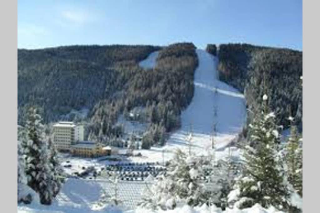 Alloggio Vacanze In Montagna Per Coppia Folgaria Exterior foto