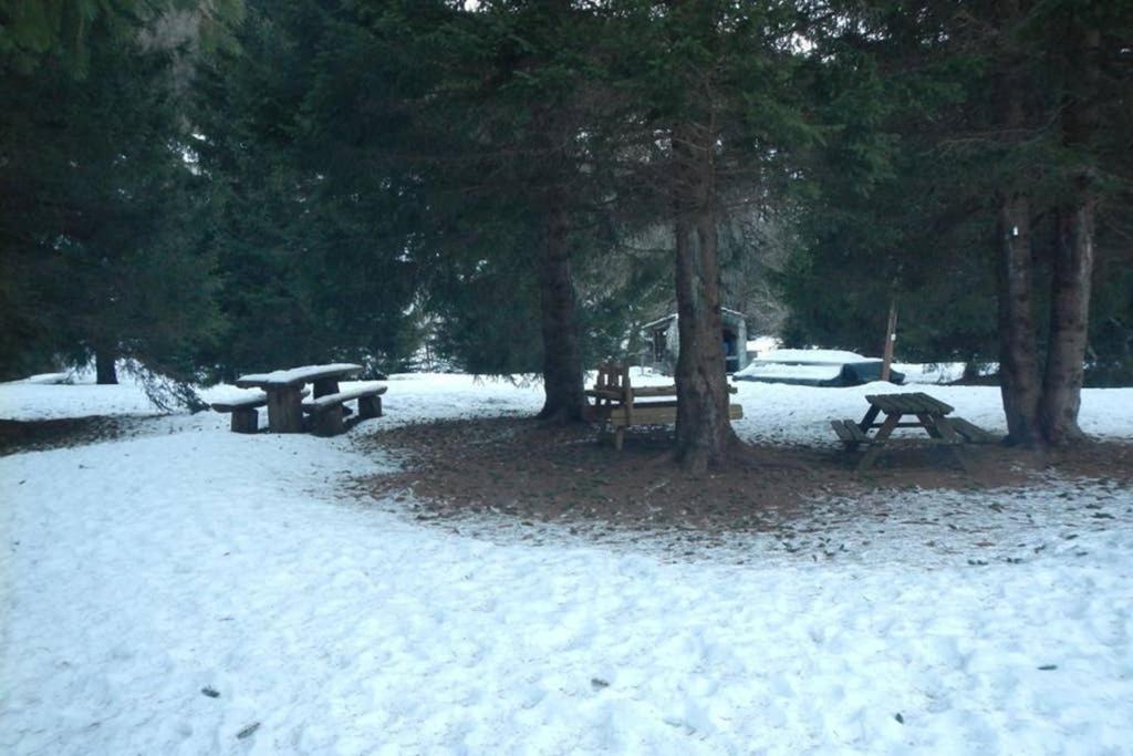 Alloggio Vacanze In Montagna Per Coppia Folgaria Exterior foto